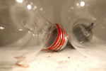 Light Bulbs by Aliza Cohen